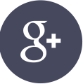 Visualizza il profilo Google +